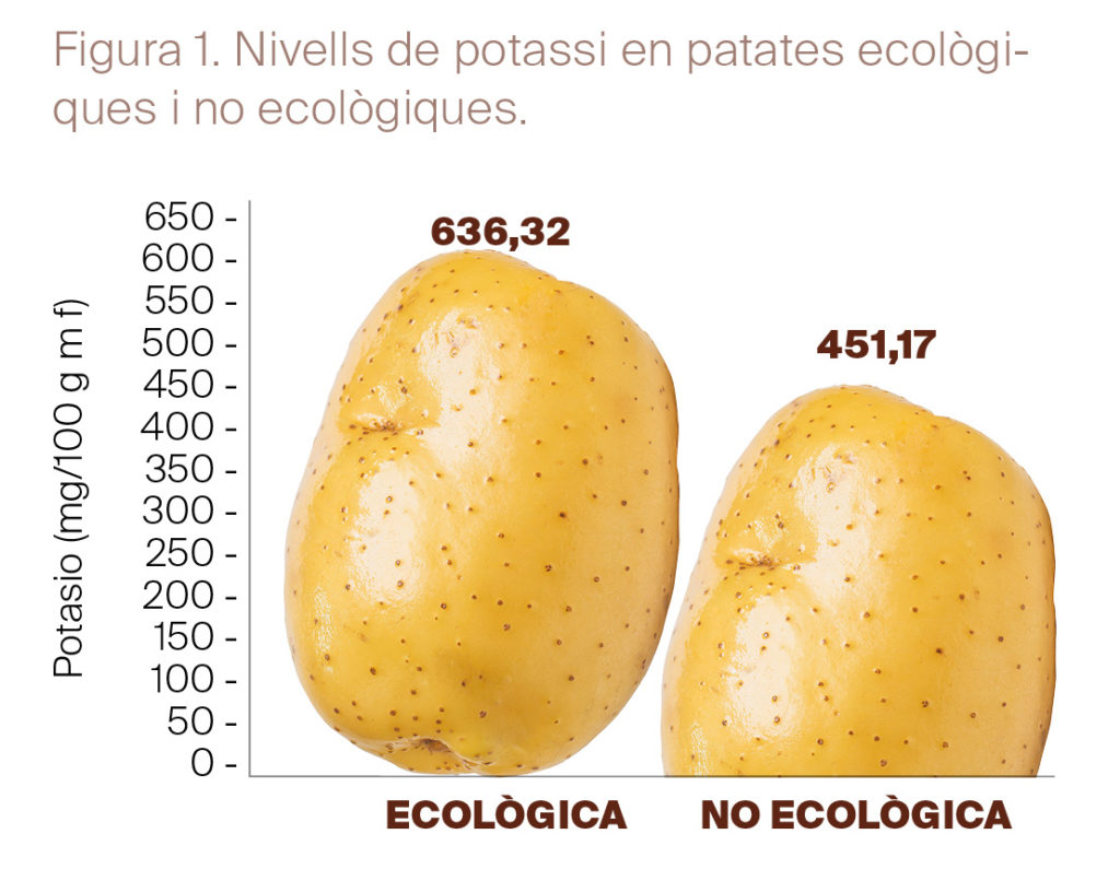 Les patates ecològiques - Figura 01 - Estudis - Veritas