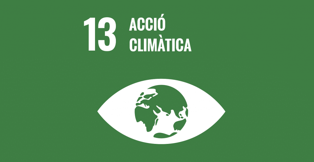ODS 13: Acció pel clima - Sostenibilitat - Veritas