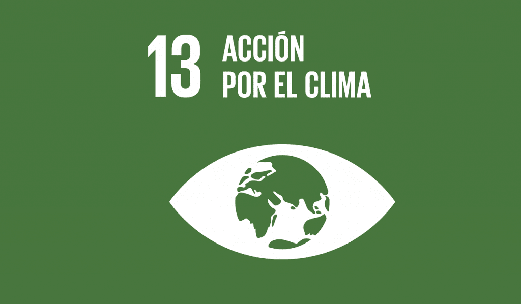 ODS 13: Acción por el clima - Sostenibilidad - Veritas