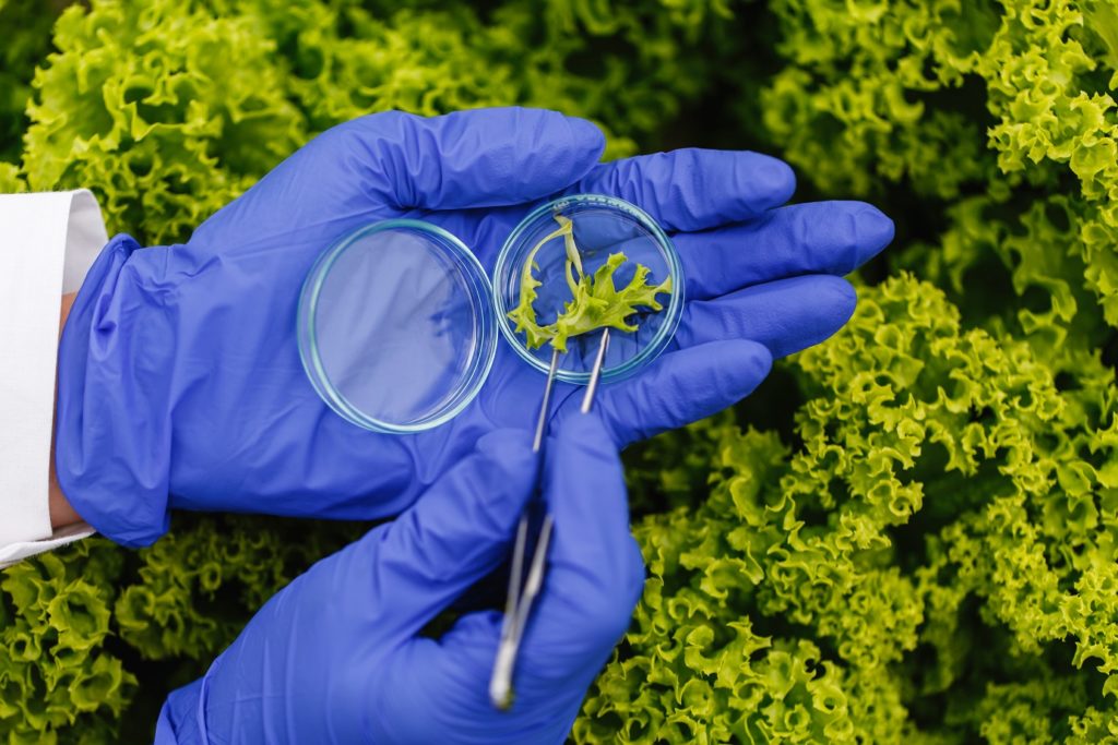 La dieta ecològica redueix un 25% el risc de càncer  - Estudis - Veritas