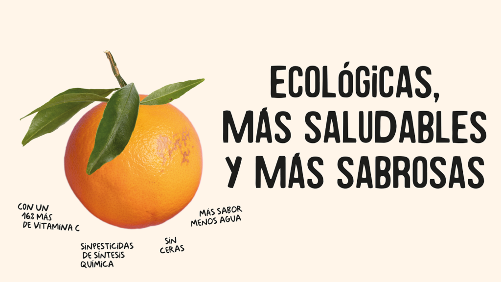 Naranjas ecológicas, más saludables y más saborosas