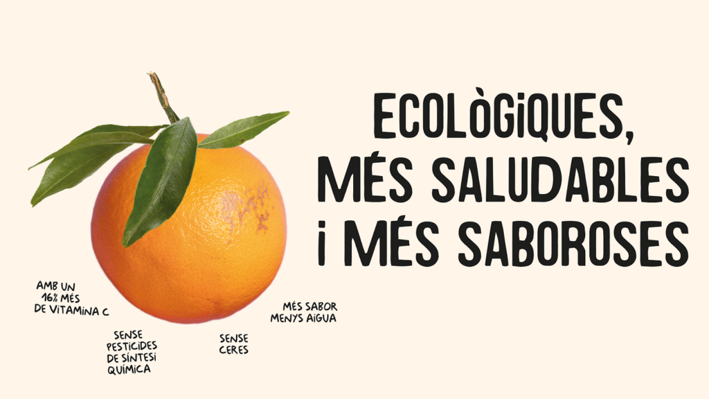 Taronges ecològiques, més saludables i més saboroses 