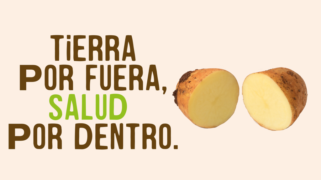 Tierra por fuera, salud por dentro - Diccionario de alimentos - Patata - Veritas