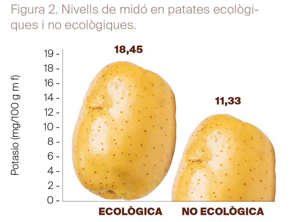 Les patates ecològiques - Figura 02 - Estudis - Veritas