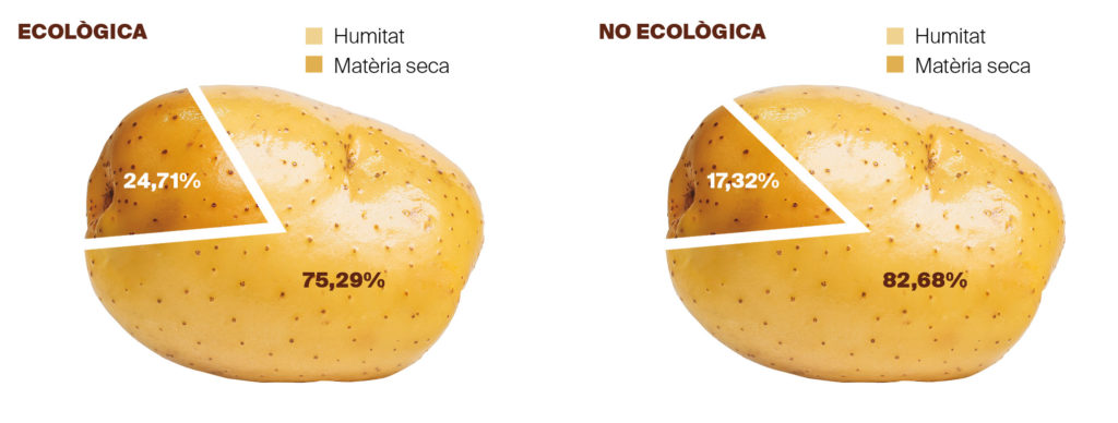 Les patates ecològiques - Figura 03 - Estudis - Veritas