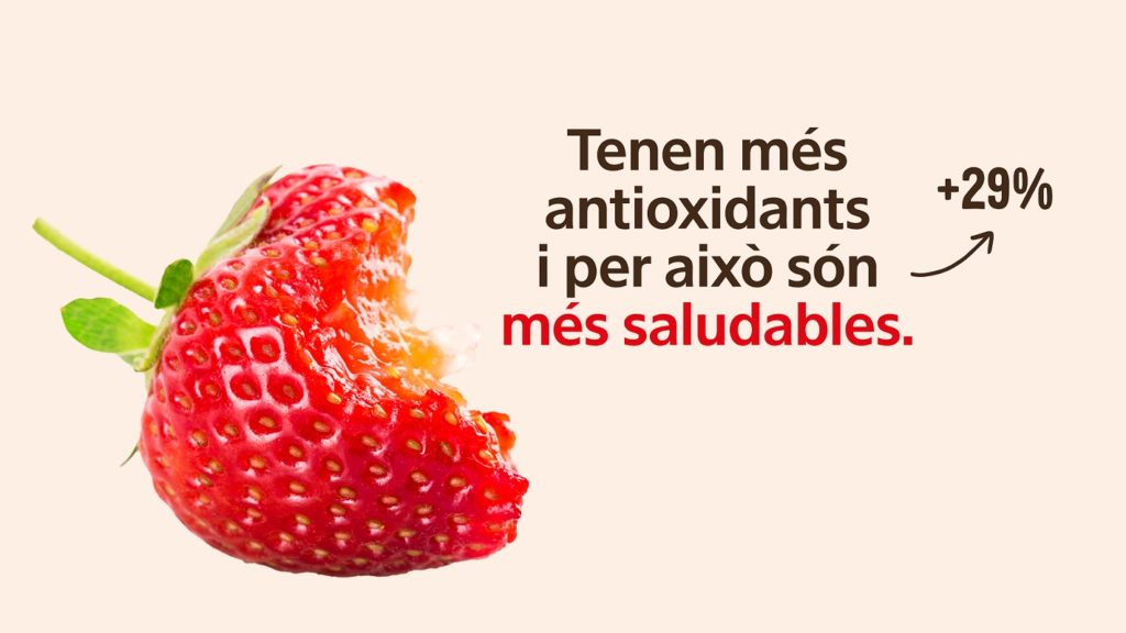 Les maduixes, dona gust menjar-les ecològiques - Diccionari d'aliments - Veritas