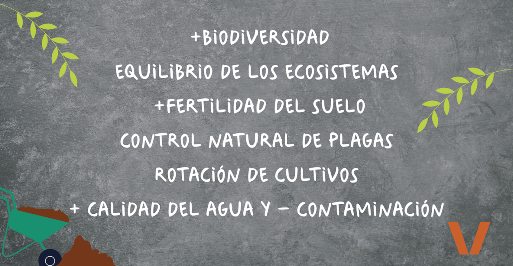 ¿Qué es la agricultura ecológica? - ABC producto ecológico - Veritas
