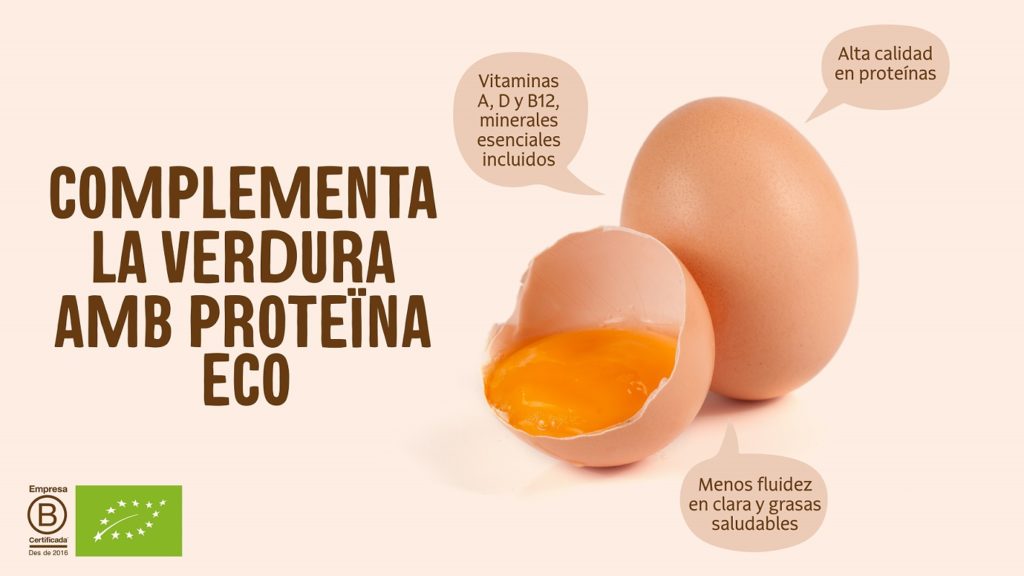 A Veritas no et trenquis la closca, tots els ous són eco  - Diccionari d'aliments - Veritas