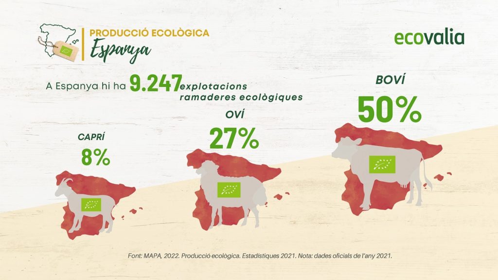 Ecovalia - Ramaderia ecològica - Veritas