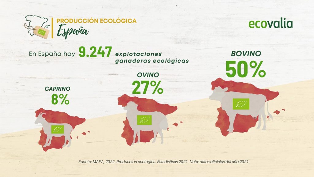 Ganadería ecológica - ABC producto ecológico - Veritas