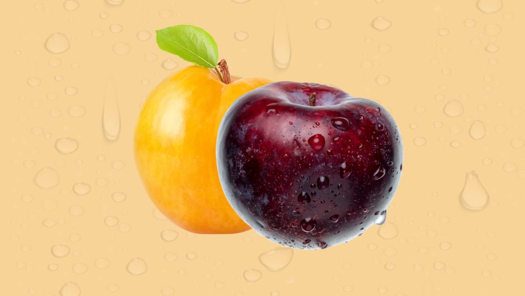 Síndria - Fruites d'estiu - Veritas
