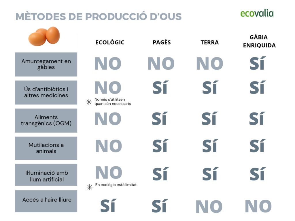 Mètodes de producció d'ous - Gràfic ou ecològic - Ecovalia 