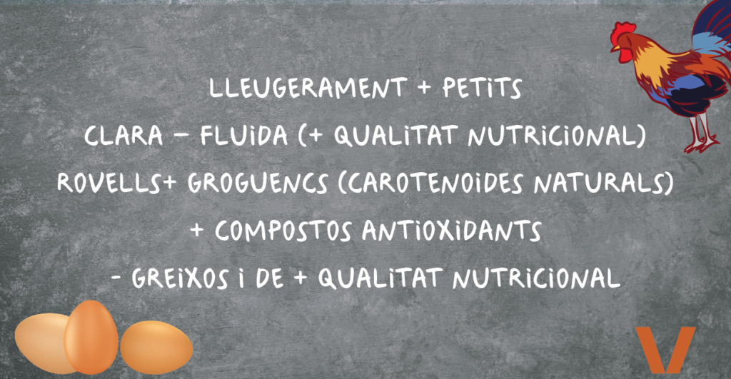 Gràfic - Com es pot saber si un ou és ecològic?  - Veritas
