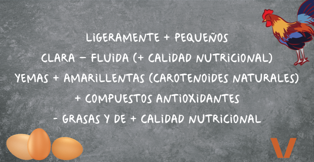 Gráfico - ABC producto ecológico - ¿Cómo se puede saber si un huevo es ecológico? - Veritas
