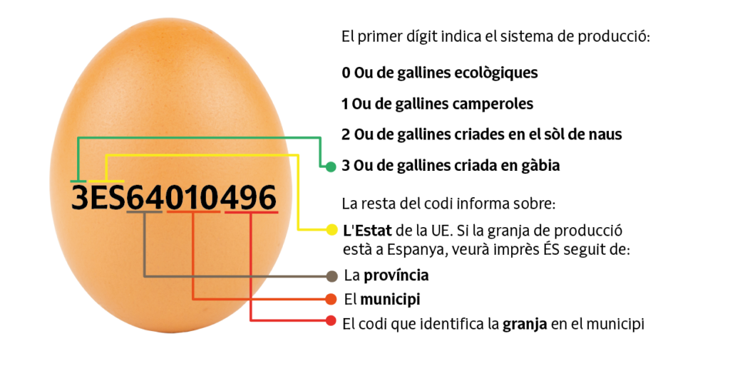 Què significa el codi de la closca de l'ou? - Gràfic Ou ecològic - Veritas