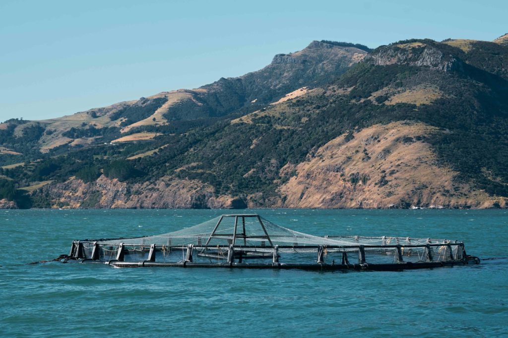 Pesca sostenible y acuicultura ecológica - Veritas