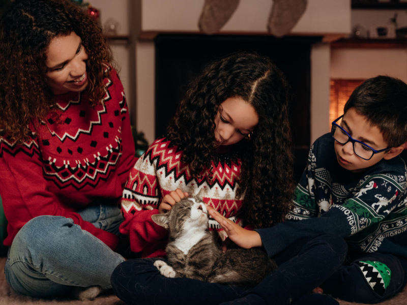 Cómo mantener tu árbol de Navidad a salvo de tu gato curioso - Consejos - Veritas