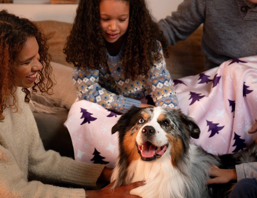 Películas navideñas para ver con tu perro - Consejos - Veritas
