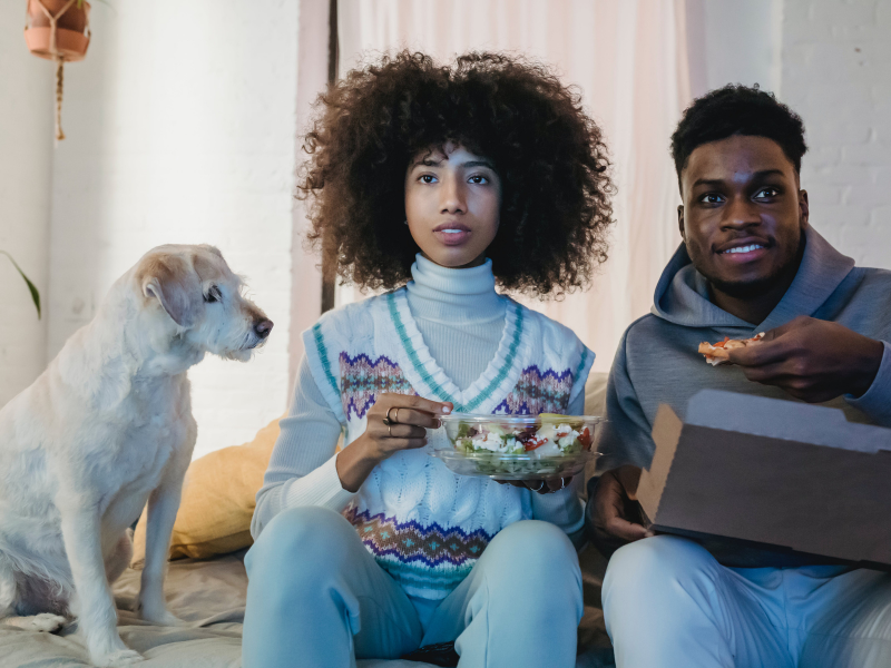 Películas navideñas para ver con tu perro - Consejos - Veritas