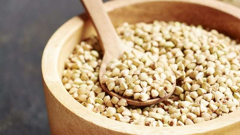 Com cuinar el fajol - Diccionari d'aliments - Veritas