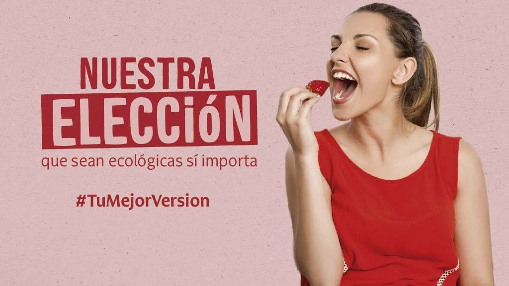 Fresas ecológicas - Nuestra elección - Campaña febrero 2024 - Veritas