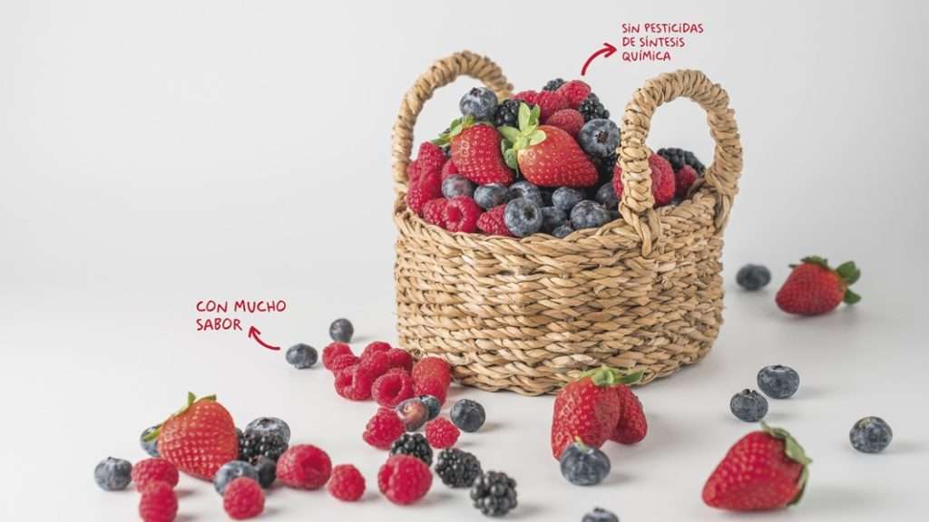 Los frutos rojos, mejor ecológicos - Campaña - Veritas