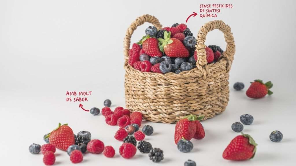 Les fruites vermelles, millor ecològiques - Campanya - Veritas