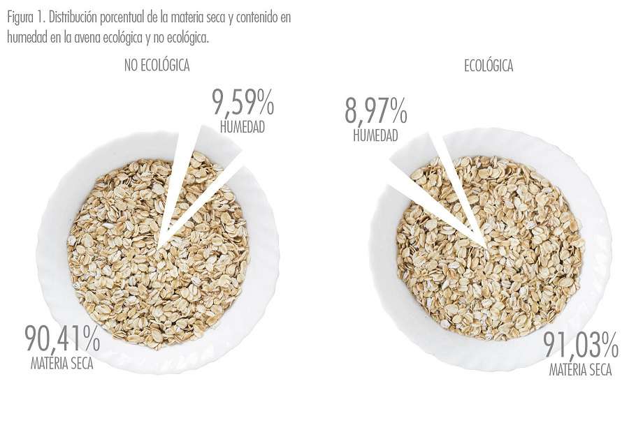 Estudios sobre la avena ecológica - Veritas
