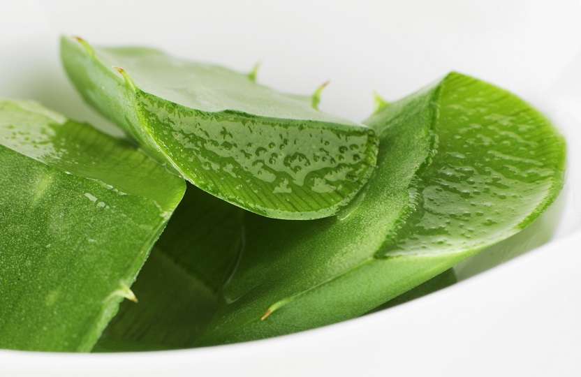 Ajudes per tenir una bona digestió - Veritas