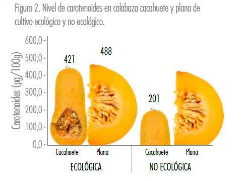 Calabaza ecológica - Estudios - Veritas
