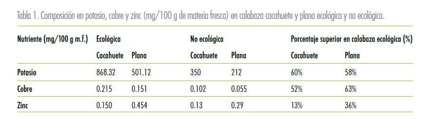 Calabaza ecológica - Estudios - Veritas