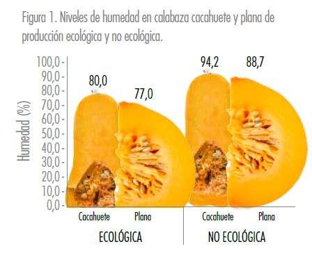 Calabaza ecológica - Estudios - Veritas