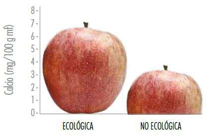 Calcio en la manzana ecológica - Estudios - Veritas