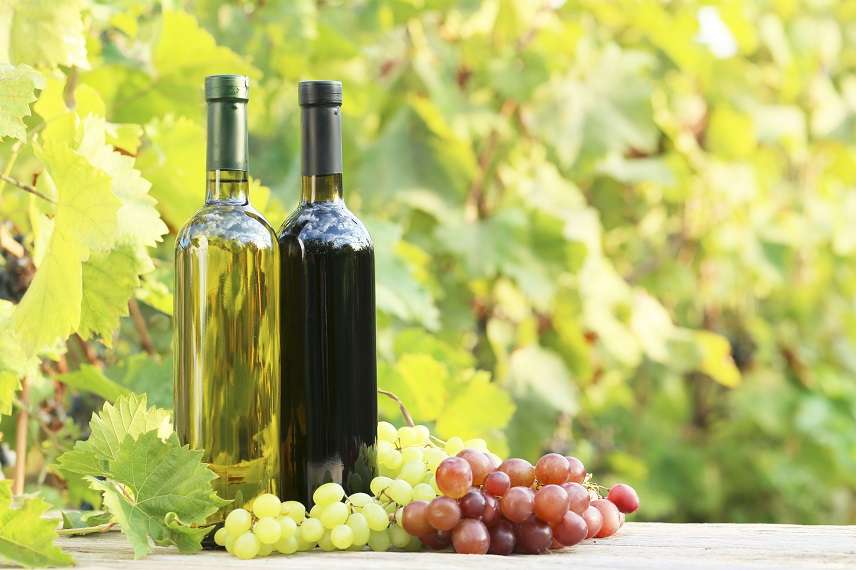 El vi ecològic és més antioxidant que el no ecològic - Estudis - Veritas