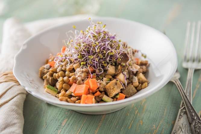 Ensalada de lentejas con vinagreta - Recetas - Veritas