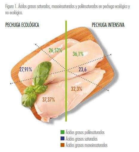 Grasa del pollo - Estudios - Veritas