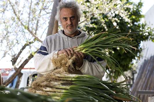 Horta de santa clara - Veritas