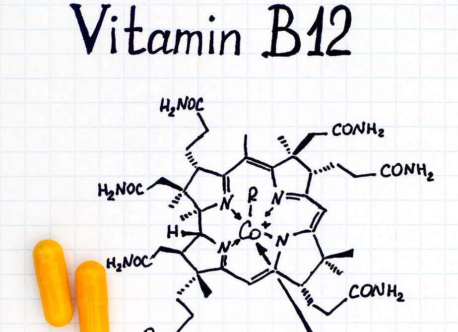 La vitamina B12 a la dieta vegana - Consells - Veritas