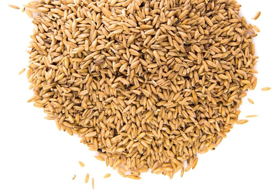 Per què els cereals integrals han de ser ecològics - Estudis - Veritas