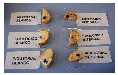 Pa ecològic - Estudis - Veritas