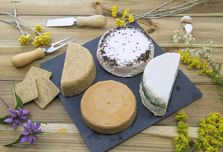 Formatges vegans - Diccionari d'aliments - Veritas
