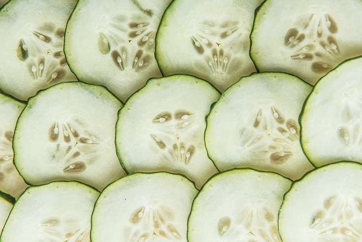 Refresca tus platos con pepino - Veritas