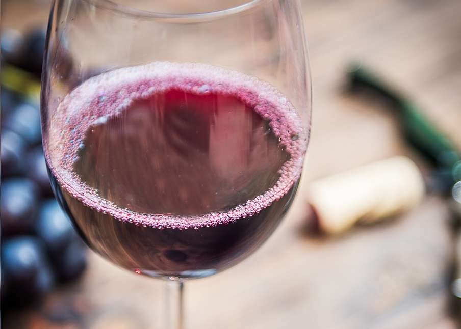 Vins ecològics, retorn als orígens - Diccionari d'aliments - Veritas